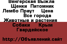 Венгерская Выжла. Щенки. Питомник Лембо Праут. › Цена ­ 35 000 - Все города Животные и растения » Собаки   . Крым,Гвардейское